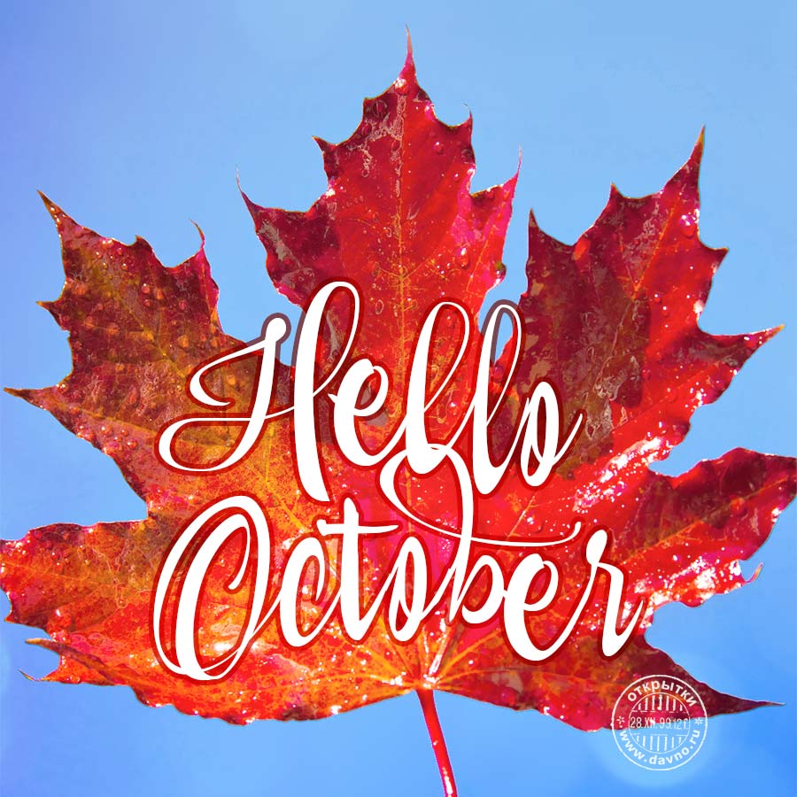 Hello October! Всех с началом октября.