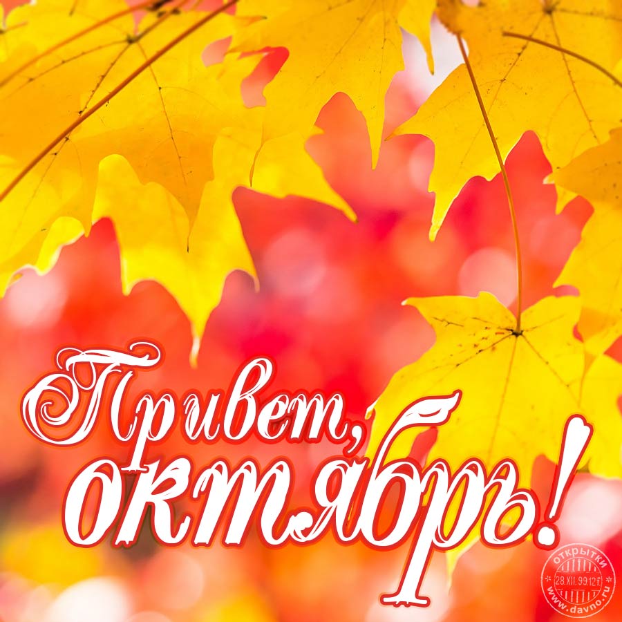 Привет, октябрь! Скачайте новую красивую октябрьскую открытку с осенними листьями.