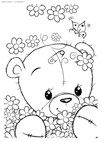 Медвежонок с ромашками - скачать и распечатать раскраску. Раскраска мишка, медвежонок