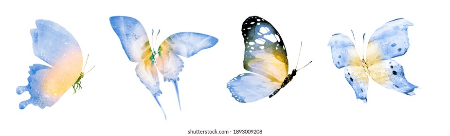 Four watercolor butterflies, isolated on white background