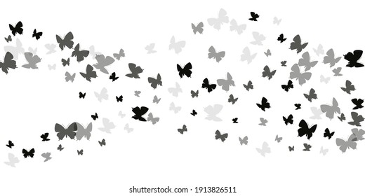 Fairy black butterflies isolated vector illustration. Summer beautiful insects. Simple butterflies isolated fantasy wallpaper. Delicate wings moths patten. Garden creatures.