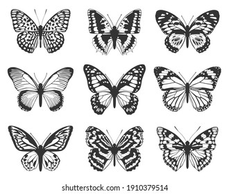 Silhouette of black butterflies. Collection of butterflies.	