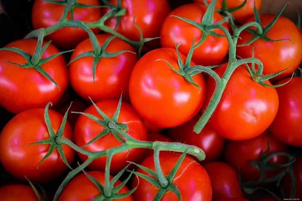 ТОП-65 лучших сорта томатов на 2023 год с фото и описанием