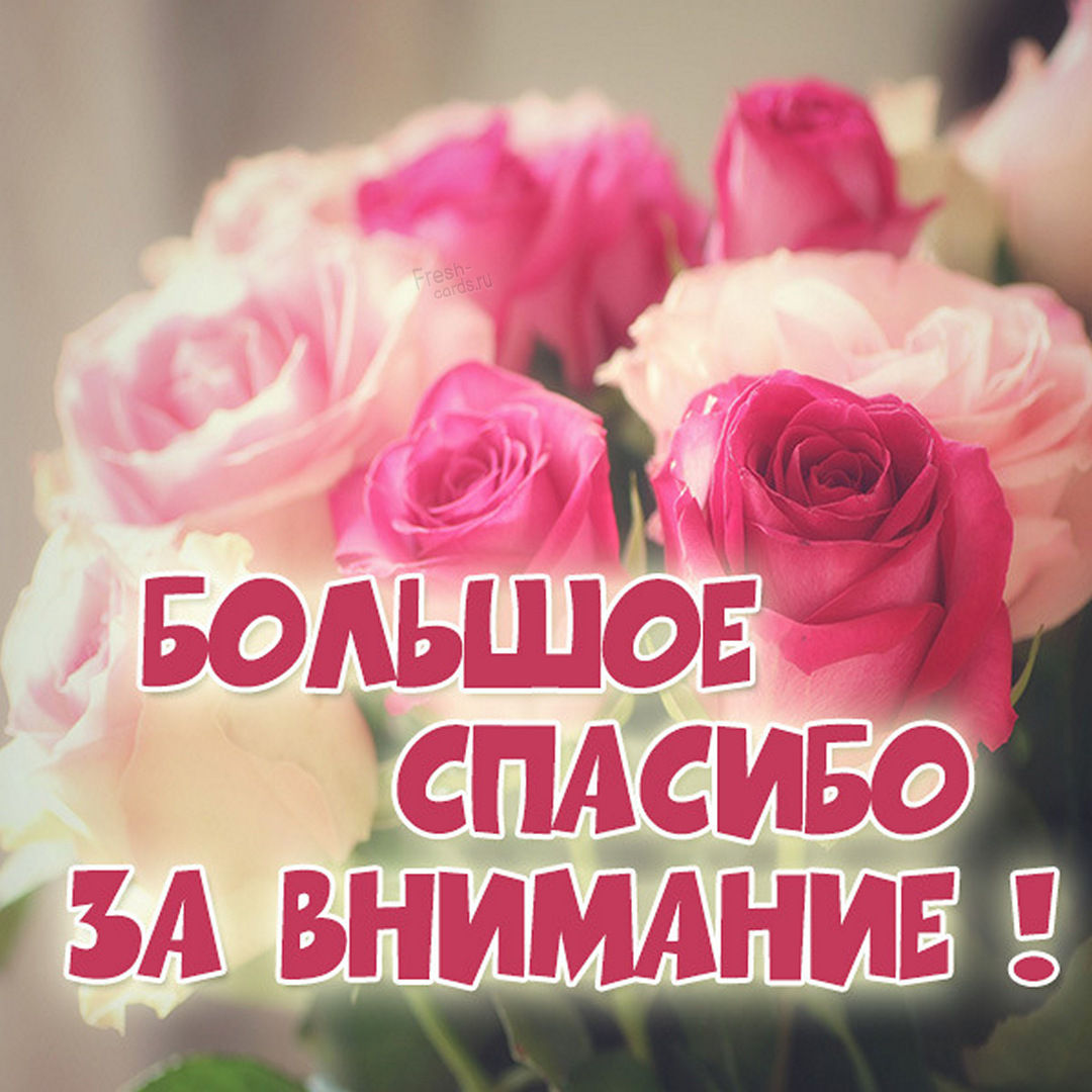 вооот такое спасибо картинка. Смотреть фото вооот такое спасибо картинка. Смотреть картинку вооот такое спасибо картинка. Картинка про вооот такое спасибо картинка. Фото вооот такое спасибо картинка вооот такое спасибо картинка. Смотреть фото вооот такое спасибо картинка. Смотреть картинку вооот такое спасибо картинка. Картинка про вооот такое спасибо картинка. Фото вооот такое спасибо картинка