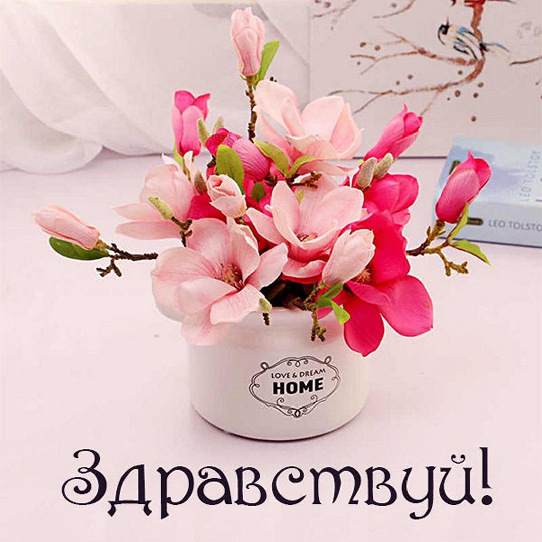 Как смешно поздороваться