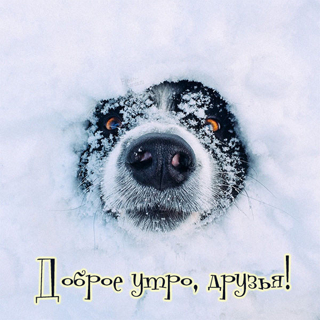 Снег апрель доброе утро