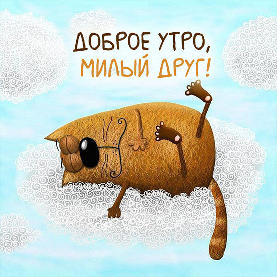 Сегодня самое доброе утро ура прикол английский