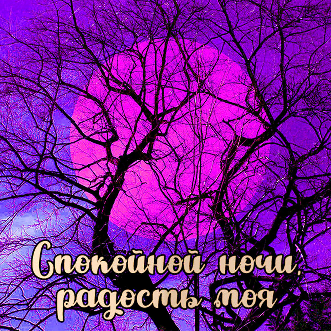 Картинка спокойной ночи радость моя мужчине