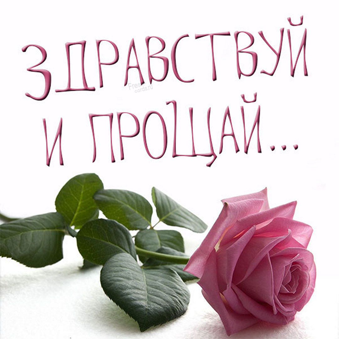 Как смешно поздороваться