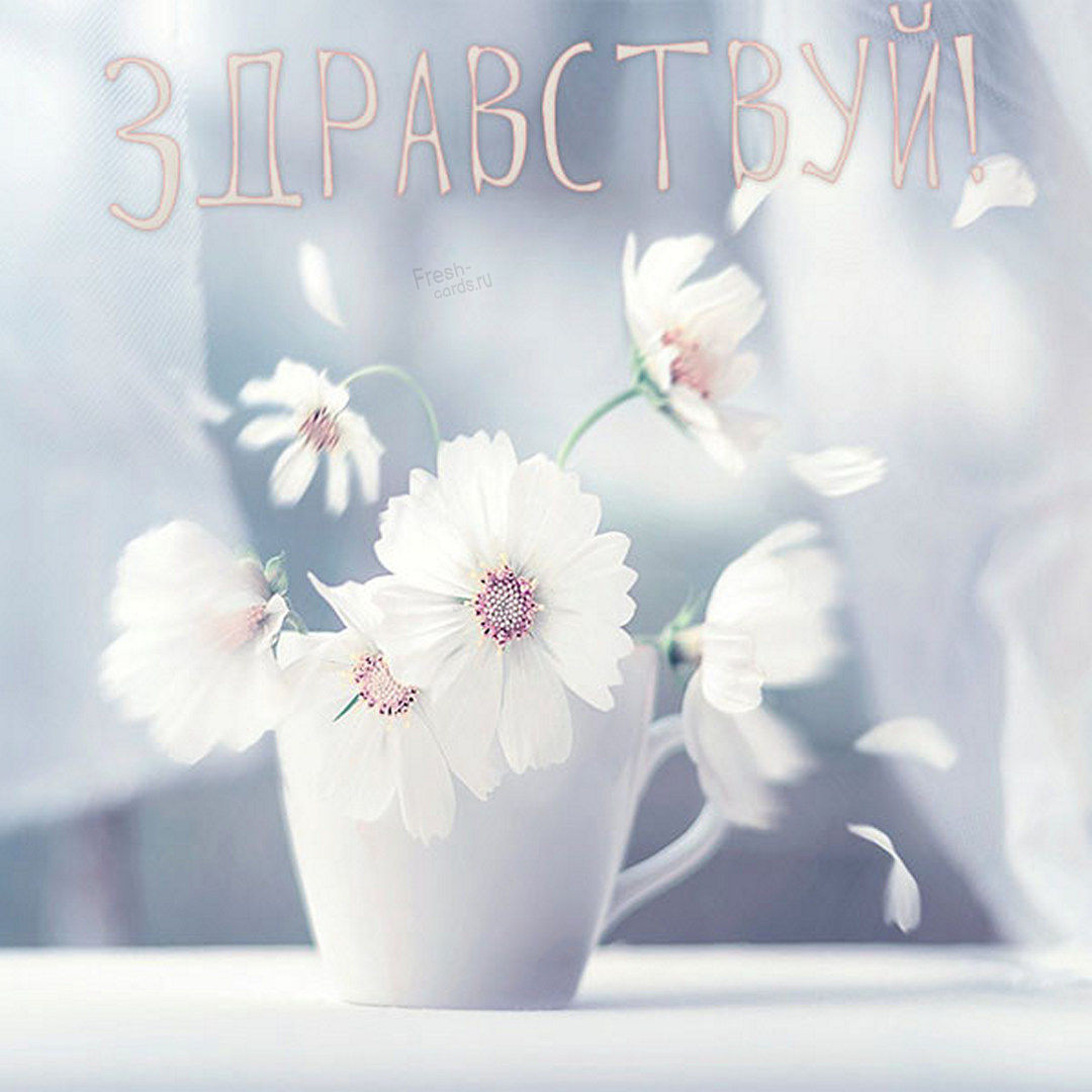 Как смешно поздороваться