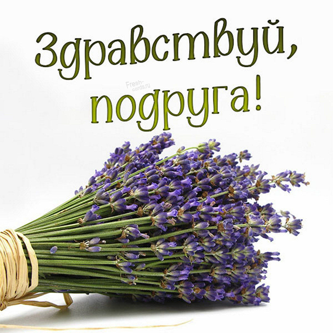 И снова здравствуйте картинки с надписями