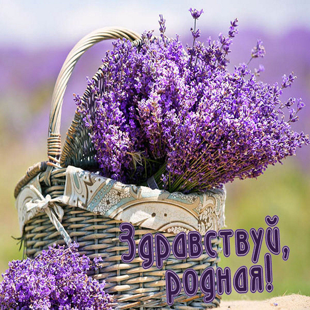 Как смешно поздороваться