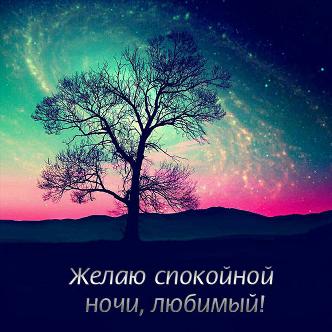 Картинка желаю спокойной ночи любимому