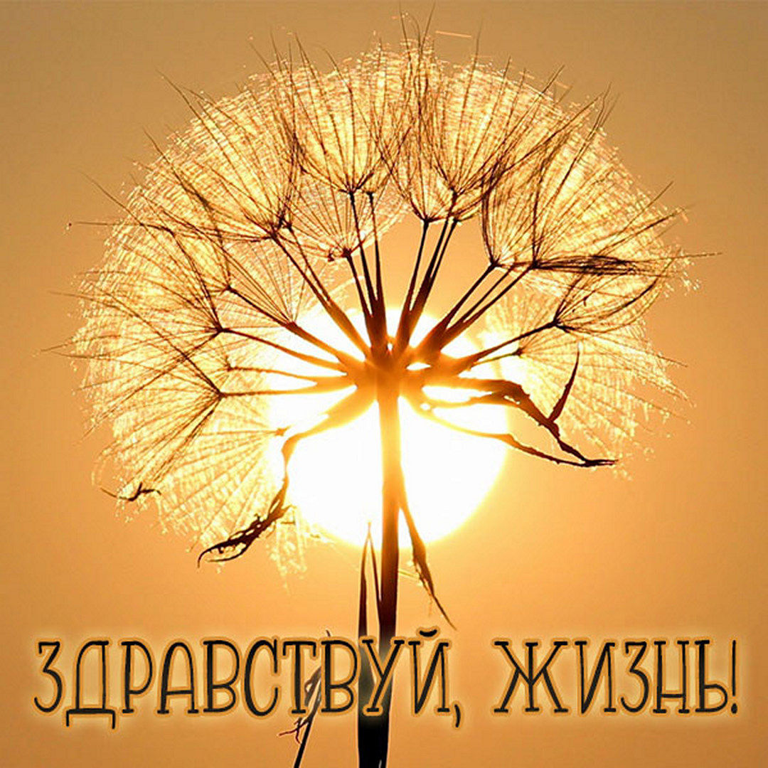 Как смешно поздороваться