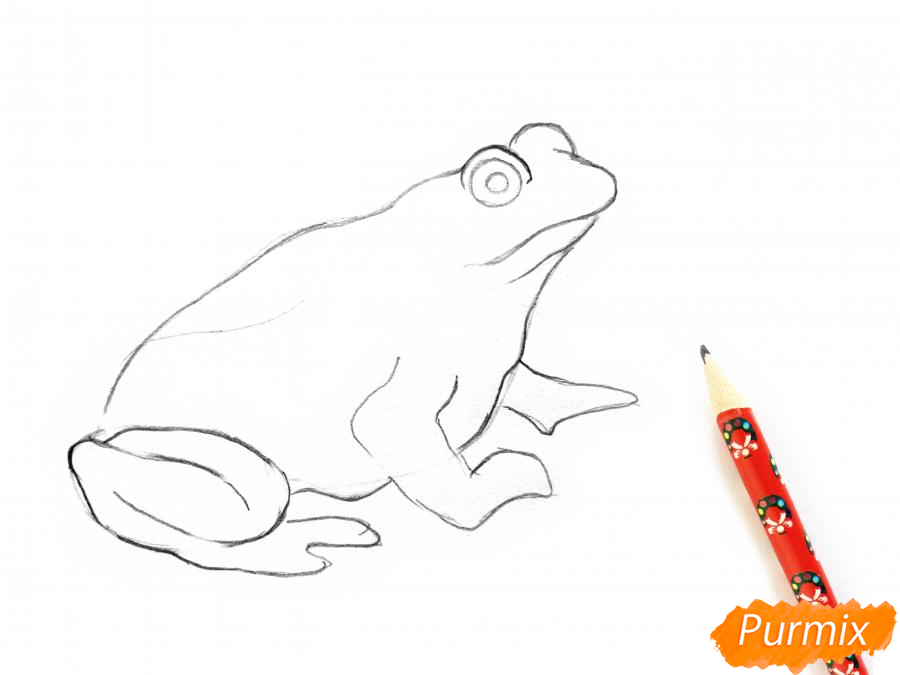 Рисуем лягушку цветными карандашами - шаг 3