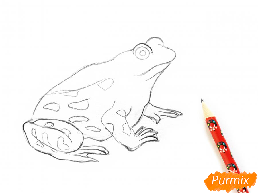 Рисуем лягушку цветными карандашами - шаг 4