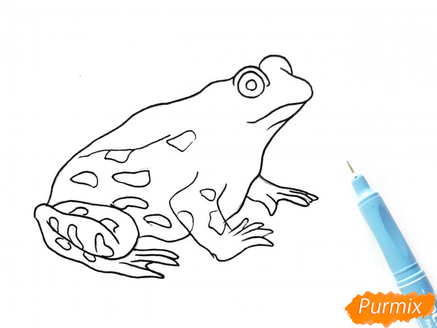 Рисуем лягушку цветными карандашами - шаг 5