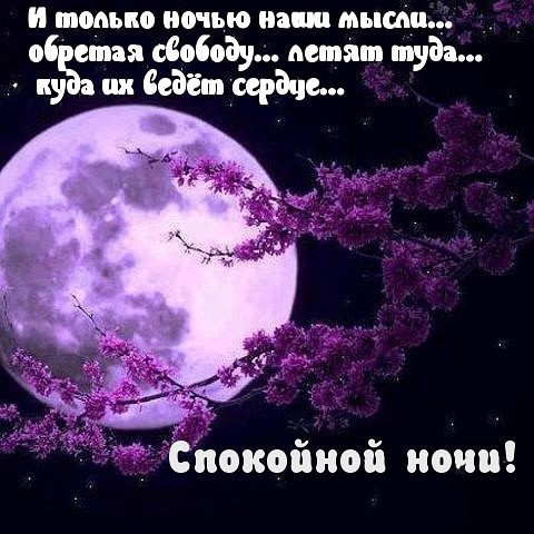 Открытки спокойной ночи Картинки на ночь