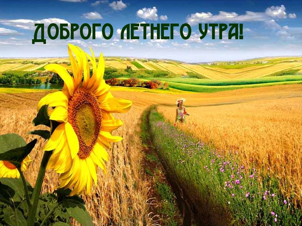 Доброго летнего утра