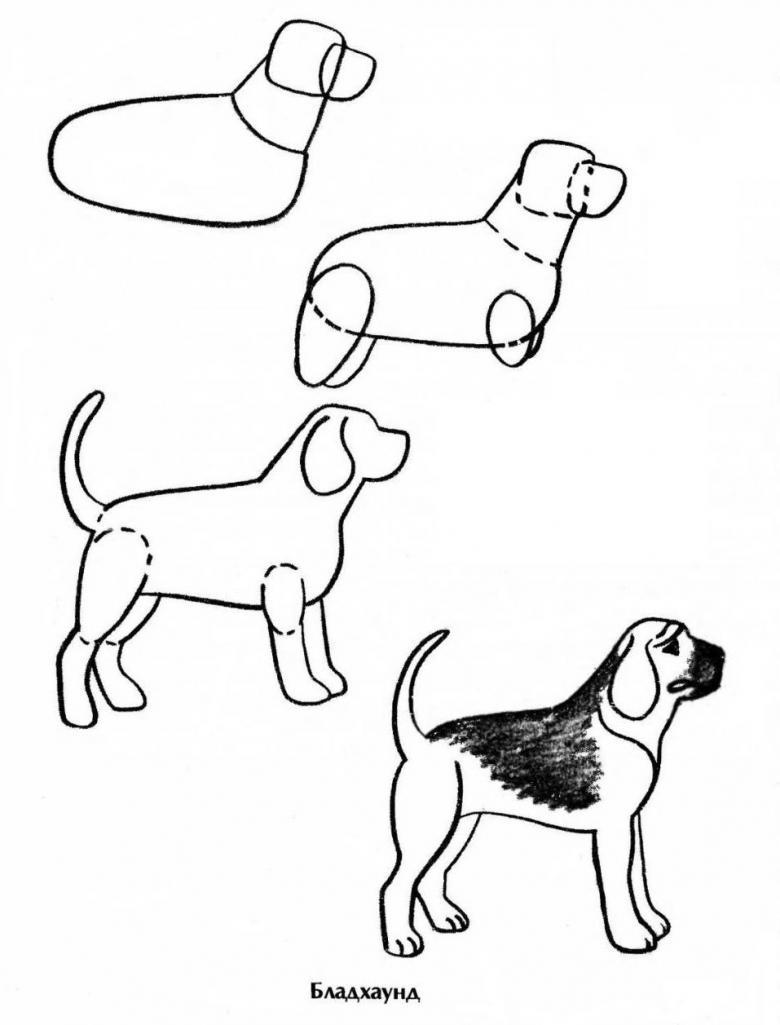 Как нарисовать собаку: 200 рисунков для детей [+ уроки]