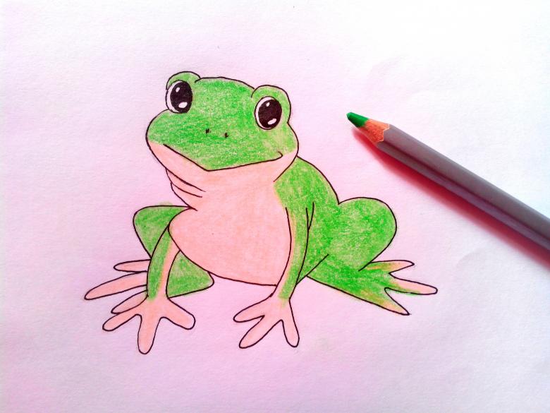 Как нарисовать лягушку карандашом: 50 поэтапных рисунков для начинающих
