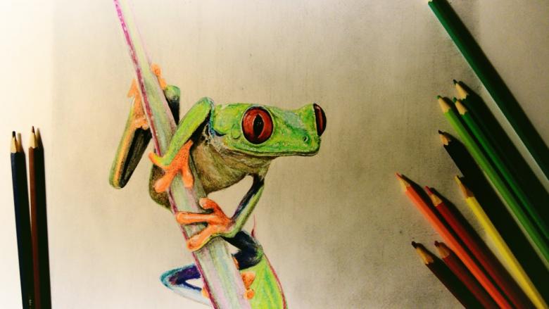 Как нарисовать лягушку карандашом: 50 поэтапных рисунков для начинающих