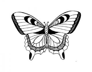 Трафарет бабочка
