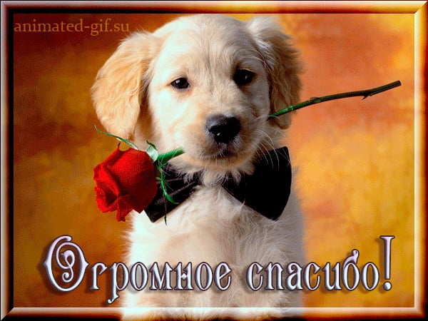 вооот такое спасибо картинка. Смотреть фото вооот такое спасибо картинка. Смотреть картинку вооот такое спасибо картинка. Картинка про вооот такое спасибо картинка. Фото вооот такое спасибо картинка вооот такое спасибо картинка. Смотреть фото вооот такое спасибо картинка. Смотреть картинку вооот такое спасибо картинка. Картинка про вооот такое спасибо картинка. Фото вооот такое спасибо картинка