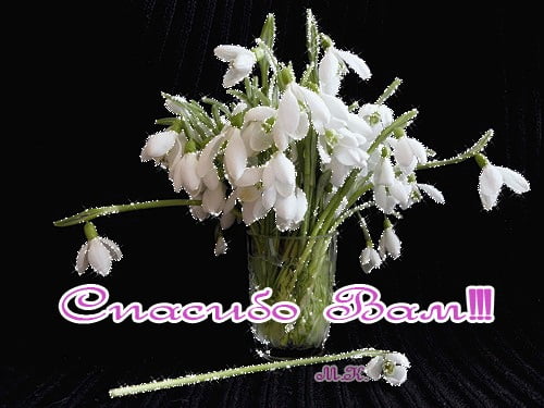 вооот такое спасибо картинка. Смотреть фото вооот такое спасибо картинка. Смотреть картинку вооот такое спасибо картинка. Картинка про вооот такое спасибо картинка. Фото вооот такое спасибо картинка вооот такое спасибо картинка. Смотреть фото вооот такое спасибо картинка. Смотреть картинку вооот такое спасибо картинка. Картинка про вооот такое спасибо картинка. Фото вооот такое спасибо картинка