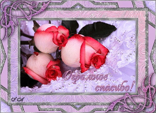 вооот такое спасибо картинка. Смотреть фото вооот такое спасибо картинка. Смотреть картинку вооот такое спасибо картинка. Картинка про вооот такое спасибо картинка. Фото вооот такое спасибо картинка вооот такое спасибо картинка. Смотреть фото вооот такое спасибо картинка. Смотреть картинку вооот такое спасибо картинка. Картинка про вооот такое спасибо картинка. Фото вооот такое спасибо картинка