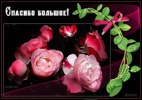 вооот такое спасибо картинка. Смотреть фото вооот такое спасибо картинка. Смотреть картинку вооот такое спасибо картинка. Картинка про вооот такое спасибо картинка. Фото вооот такое спасибо картинка вооот такое спасибо картинка. Смотреть фото вооот такое спасибо картинка. Смотреть картинку вооот такое спасибо картинка. Картинка про вооот такое спасибо картинка. Фото вооот такое спасибо картинка