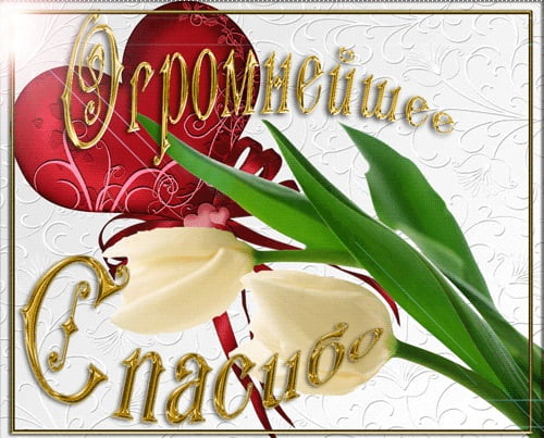 вооот такое спасибо картинка. Смотреть фото вооот такое спасибо картинка. Смотреть картинку вооот такое спасибо картинка. Картинка про вооот такое спасибо картинка. Фото вооот такое спасибо картинка вооот такое спасибо картинка. Смотреть фото вооот такое спасибо картинка. Смотреть картинку вооот такое спасибо картинка. Картинка про вооот такое спасибо картинка. Фото вооот такое спасибо картинка