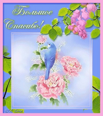 вооот такое спасибо картинка. Смотреть фото вооот такое спасибо картинка. Смотреть картинку вооот такое спасибо картинка. Картинка про вооот такое спасибо картинка. Фото вооот такое спасибо картинка вооот такое спасибо картинка. Смотреть фото вооот такое спасибо картинка. Смотреть картинку вооот такое спасибо картинка. Картинка про вооот такое спасибо картинка. Фото вооот такое спасибо картинка