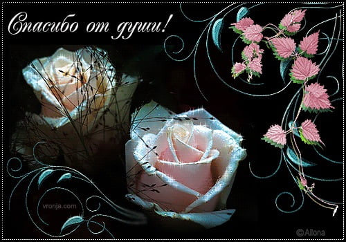 вооот такое спасибо картинка. Смотреть фото вооот такое спасибо картинка. Смотреть картинку вооот такое спасибо картинка. Картинка про вооот такое спасибо картинка. Фото вооот такое спасибо картинка вооот такое спасибо картинка. Смотреть фото вооот такое спасибо картинка. Смотреть картинку вооот такое спасибо картинка. Картинка про вооот такое спасибо картинка. Фото вооот такое спасибо картинка