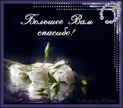 вооот такое спасибо картинка. Смотреть фото вооот такое спасибо картинка. Смотреть картинку вооот такое спасибо картинка. Картинка про вооот такое спасибо картинка. Фото вооот такое спасибо картинка вооот такое спасибо картинка. Смотреть фото вооот такое спасибо картинка. Смотреть картинку вооот такое спасибо картинка. Картинка про вооот такое спасибо картинка. Фото вооот такое спасибо картинка