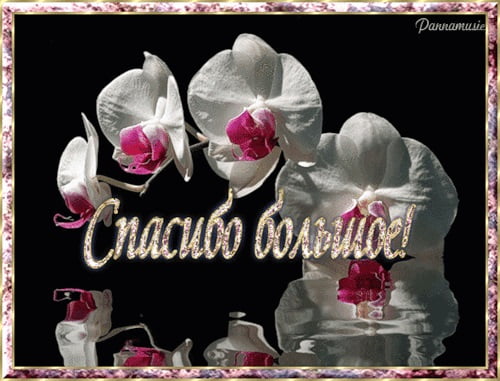 вооот такое спасибо картинка. Смотреть фото вооот такое спасибо картинка. Смотреть картинку вооот такое спасибо картинка. Картинка про вооот такое спасибо картинка. Фото вооот такое спасибо картинка вооот такое спасибо картинка. Смотреть фото вооот такое спасибо картинка. Смотреть картинку вооот такое спасибо картинка. Картинка про вооот такое спасибо картинка. Фото вооот такое спасибо картинка