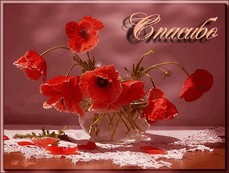 вооот такое спасибо картинка. Смотреть фото вооот такое спасибо картинка. Смотреть картинку вооот такое спасибо картинка. Картинка про вооот такое спасибо картинка. Фото вооот такое спасибо картинка вооот такое спасибо картинка. Смотреть фото вооот такое спасибо картинка. Смотреть картинку вооот такое спасибо картинка. Картинка про вооот такое спасибо картинка. Фото вооот такое спасибо картинка