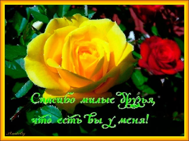 вооот такое спасибо картинка. Смотреть фото вооот такое спасибо картинка. Смотреть картинку вооот такое спасибо картинка. Картинка про вооот такое спасибо картинка. Фото вооот такое спасибо картинка вооот такое спасибо картинка. Смотреть фото вооот такое спасибо картинка. Смотреть картинку вооот такое спасибо картинка. Картинка про вооот такое спасибо картинка. Фото вооот такое спасибо картинка