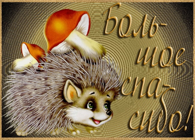 вооот такое спасибо картинка. Смотреть фото вооот такое спасибо картинка. Смотреть картинку вооот такое спасибо картинка. Картинка про вооот такое спасибо картинка. Фото вооот такое спасибо картинка вооот такое спасибо картинка. Смотреть фото вооот такое спасибо картинка. Смотреть картинку вооот такое спасибо картинка. Картинка про вооот такое спасибо картинка. Фото вооот такое спасибо картинка