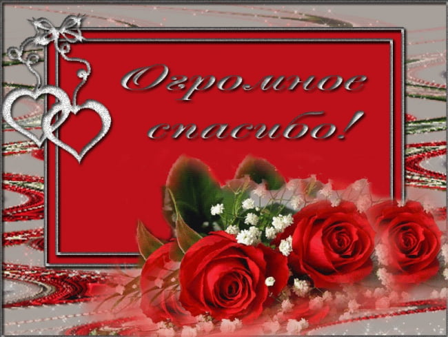 вооот такое спасибо картинка. Смотреть фото вооот такое спасибо картинка. Смотреть картинку вооот такое спасибо картинка. Картинка про вооот такое спасибо картинка. Фото вооот такое спасибо картинка вооот такое спасибо картинка. Смотреть фото вооот такое спасибо картинка. Смотреть картинку вооот такое спасибо картинка. Картинка про вооот такое спасибо картинка. Фото вооот такое спасибо картинка