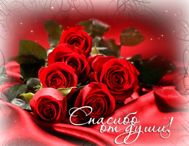 вооот такое спасибо картинка. Смотреть фото вооот такое спасибо картинка. Смотреть картинку вооот такое спасибо картинка. Картинка про вооот такое спасибо картинка. Фото вооот такое спасибо картинка вооот такое спасибо картинка. Смотреть фото вооот такое спасибо картинка. Смотреть картинку вооот такое спасибо картинка. Картинка про вооот такое спасибо картинка. Фото вооот такое спасибо картинка