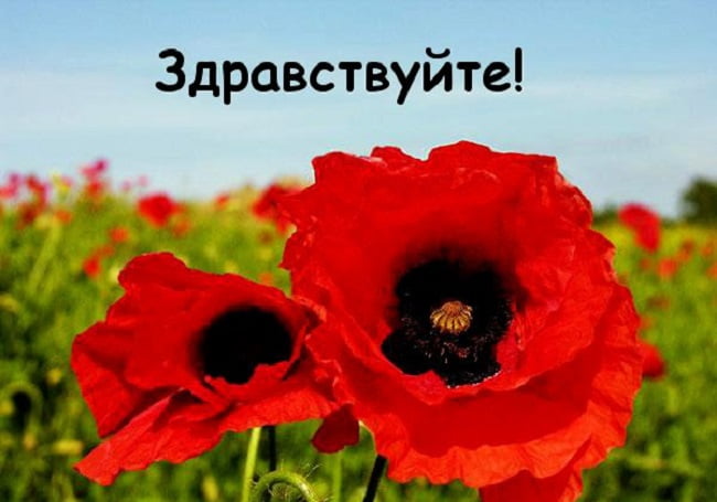 Как смешно поздороваться