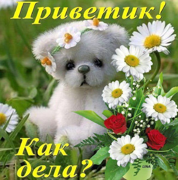 Как смешно поздороваться