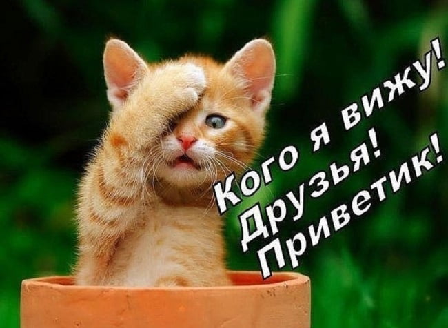 Как смешно поздороваться
