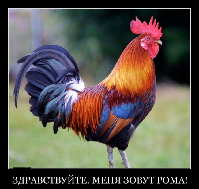 Как смешно поздороваться