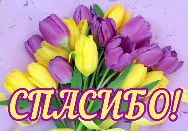 вооот такое спасибо картинка. Смотреть фото вооот такое спасибо картинка. Смотреть картинку вооот такое спасибо картинка. Картинка про вооот такое спасибо картинка. Фото вооот такое спасибо картинка вооот такое спасибо картинка. Смотреть фото вооот такое спасибо картинка. Смотреть картинку вооот такое спасибо картинка. Картинка про вооот такое спасибо картинка. Фото вооот такое спасибо картинка