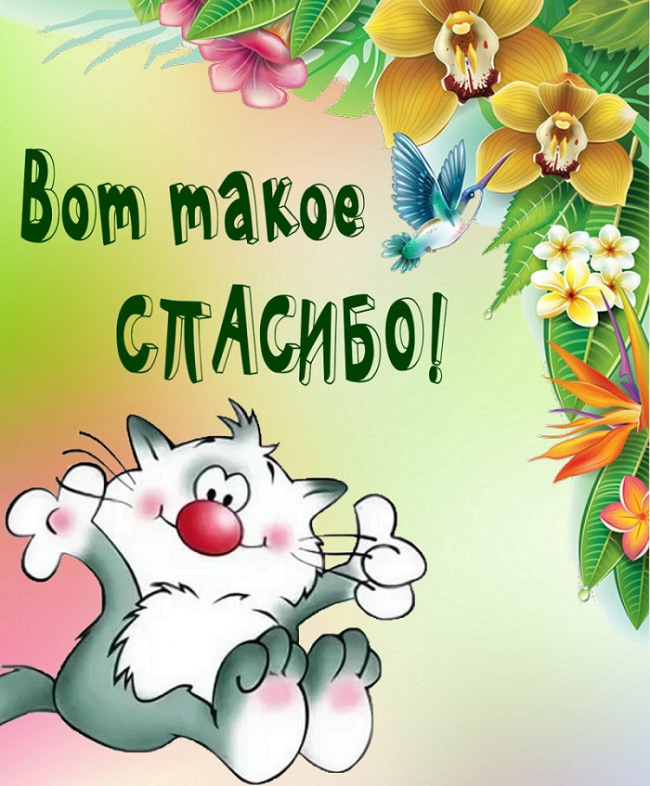 вооот такое спасибо картинка. Смотреть фото вооот такое спасибо картинка. Смотреть картинку вооот такое спасибо картинка. Картинка про вооот такое спасибо картинка. Фото вооот такое спасибо картинка вооот такое спасибо картинка. Смотреть фото вооот такое спасибо картинка. Смотреть картинку вооот такое спасибо картинка. Картинка про вооот такое спасибо картинка. Фото вооот такое спасибо картинка