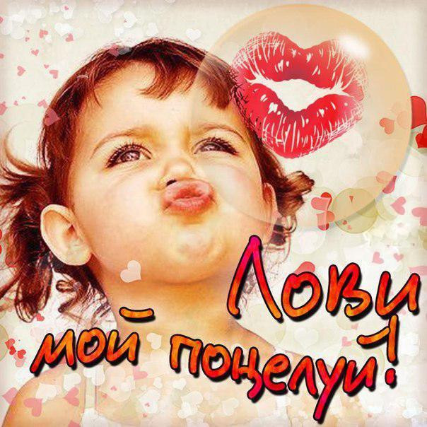 вот так хочу тебя обнять и поцеловать картинки мужчине. Смотреть фото вот так хочу тебя обнять и поцеловать картинки мужчине. Смотреть картинку вот так хочу тебя обнять и поцеловать картинки мужчине. Картинка про вот так хочу тебя обнять и поцеловать картинки мужчине. Фото вот так хочу тебя обнять и поцеловать картинки мужчине вот так хочу тебя обнять и поцеловать картинки мужчине. Смотреть фото вот так хочу тебя обнять и поцеловать картинки мужчине. Смотреть картинку вот так хочу тебя обнять и поцеловать картинки мужчине. Картинка про вот так хочу тебя обнять и поцеловать картинки мужчине. Фото вот так хочу тебя обнять и поцеловать картинки мужчине