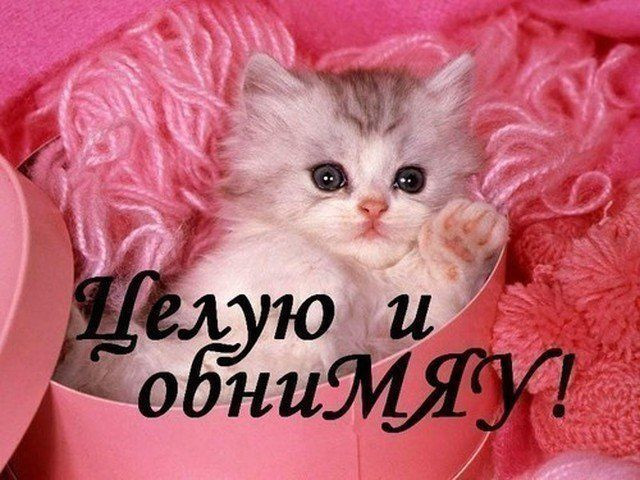 вот так хочу тебя обнять и поцеловать картинки мужчине. Смотреть фото вот так хочу тебя обнять и поцеловать картинки мужчине. Смотреть картинку вот так хочу тебя обнять и поцеловать картинки мужчине. Картинка про вот так хочу тебя обнять и поцеловать картинки мужчине. Фото вот так хочу тебя обнять и поцеловать картинки мужчине вот так хочу тебя обнять и поцеловать картинки мужчине. Смотреть фото вот так хочу тебя обнять и поцеловать картинки мужчине. Смотреть картинку вот так хочу тебя обнять и поцеловать картинки мужчине. Картинка про вот так хочу тебя обнять и поцеловать картинки мужчине. Фото вот так хочу тебя обнять и поцеловать картинки мужчине