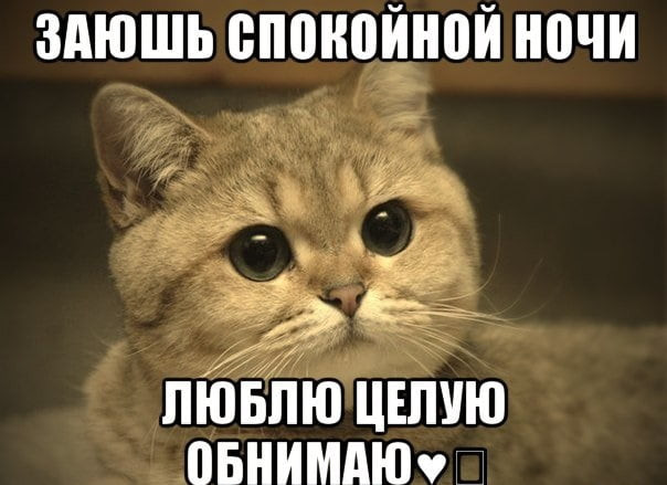 вот так хочу тебя обнять и поцеловать картинки мужчине. Смотреть фото вот так хочу тебя обнять и поцеловать картинки мужчине. Смотреть картинку вот так хочу тебя обнять и поцеловать картинки мужчине. Картинка про вот так хочу тебя обнять и поцеловать картинки мужчине. Фото вот так хочу тебя обнять и поцеловать картинки мужчине вот так хочу тебя обнять и поцеловать картинки мужчине. Смотреть фото вот так хочу тебя обнять и поцеловать картинки мужчине. Смотреть картинку вот так хочу тебя обнять и поцеловать картинки мужчине. Картинка про вот так хочу тебя обнять и поцеловать картинки мужчине. Фото вот так хочу тебя обнять и поцеловать картинки мужчине